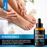 Buy Online High Quality Premium Biotin & Collagen Hair Growth Drops - Potent US Made Hair Growth Product for Best Absorption (Amazon's Best Seller) . - Red Moon Bionic Hair Lab