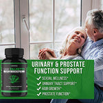 Buy Online High Quality Havasu Nutrition Saw Palmetto Supplement for Prostate Health - Supports Those with Frequent Urination - Supports DHT Blocker & Hair Loss Prevention (Amazon's Best Sell